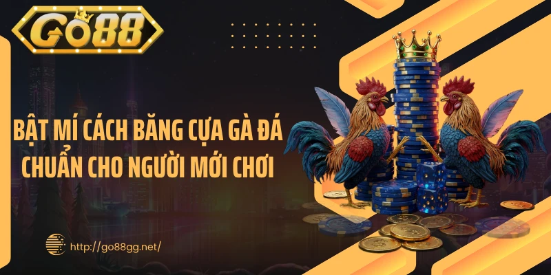 Bật Mí Cách Băng Cựa Gà Đá Chuẩn Cho Người Mới Chơi