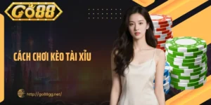  Cách Chơi Kèo Tài Xỉu Chuẩn Xác Dễ Thắng Cho Tân Thủ