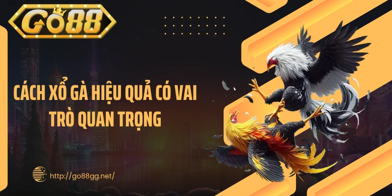 Cách xổ gà hiệu quả có vai trò quan trọng