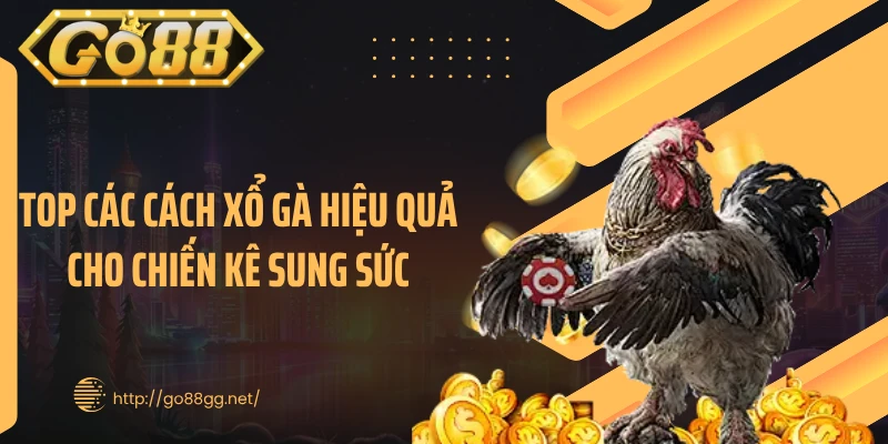 Top Các Cách Xổ Gà Hiệu Quả Cho Chiến Kê Sung Sức