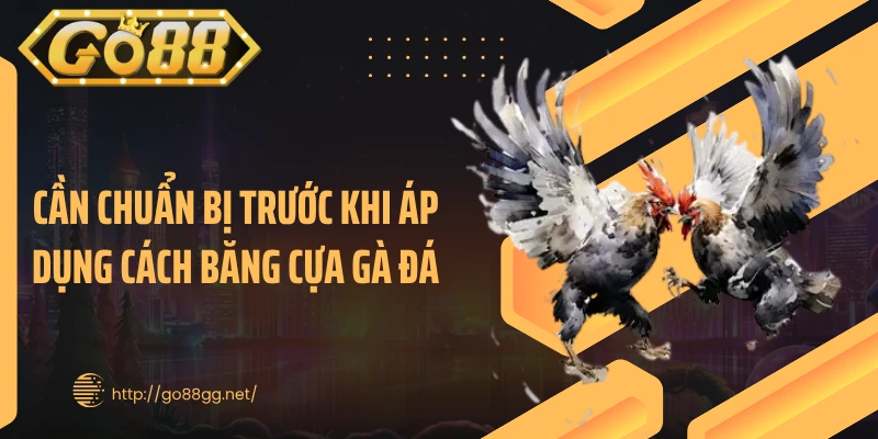 Cần chuẩn bị trước khi áp dụng cách băng cựa gà đá