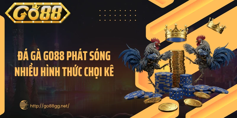 Đá gà GO88 phát sóng nhiều hình thức chọi kê