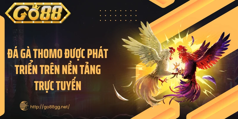 Đá gà Thomo được phát triển trên nền tảng trực tuyến