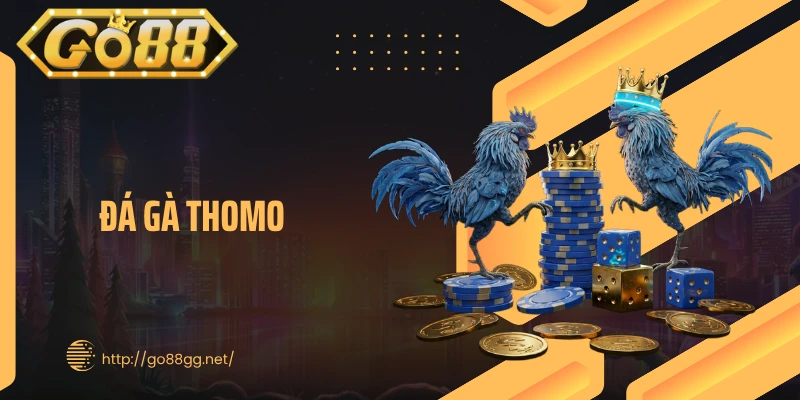 Đá Gà Thomo GO88 – Trận Đấu Đỉnh Cao, Kịch Tính Từng Giây