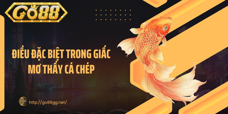 Điều đặc biệt trong giấc mơ thấy cá chép