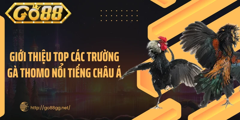 Giới thiệu top các trường gà Thomo nổi tiếng châu Á