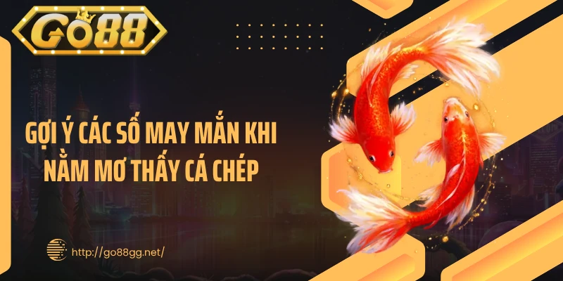 Gợi ý các số may mắn khi nằm mơ thấy cá chép