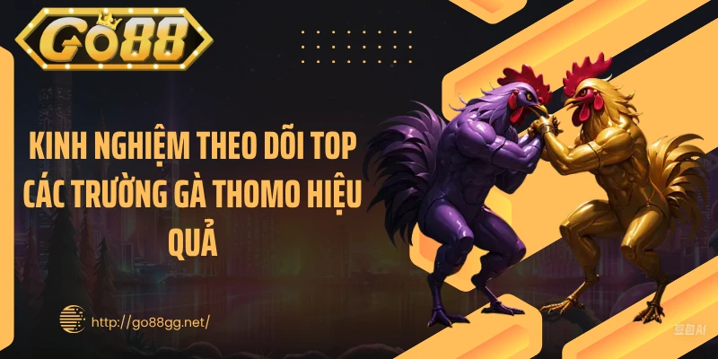 Kinh nghiệm theo dõi top các trường gà Thomo hiệu quả