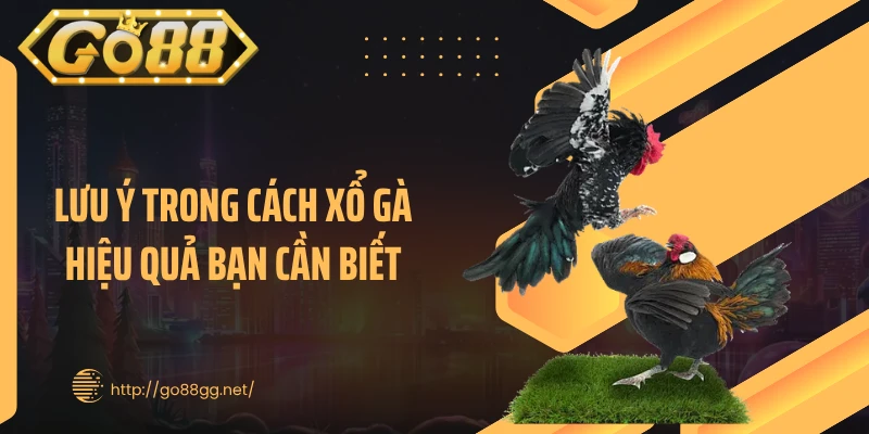 Lưu ý trong cách xổ gà hiệu quả bạn cần biết