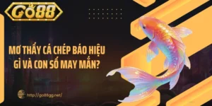 Mơ Thấy Cá Chép Báo Hiệu Gì Và Con Số May Mắn?