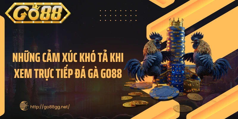 Những cảm xúc khó tả khi xem trực tiếp đá gà GO88