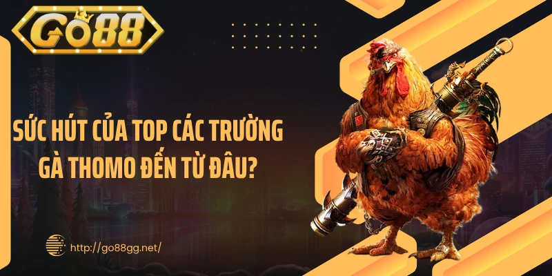 Sức hút của top các trường gà Thomo đến từ đâu?