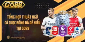 Tổng Hợp Thuật Ngữ Cá Cược Bóng Đá Dễ Hiểu Tại GO88