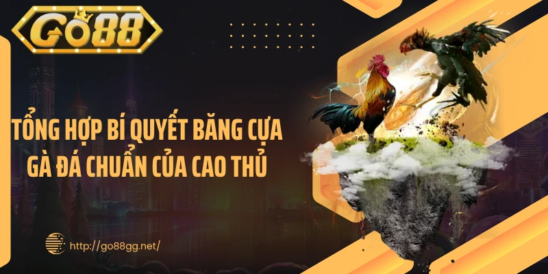 Tổng hợp bí quyết băng cựa gà đá chuẩn của cao thủ