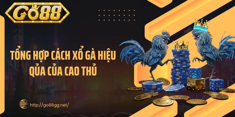 Tổng hợp cách xổ gà hiệu qủa của cao thủ