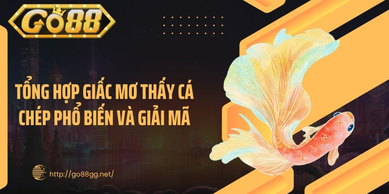 Tổng hợp giấc mơ thấy cá chép phổ biến và giải mã